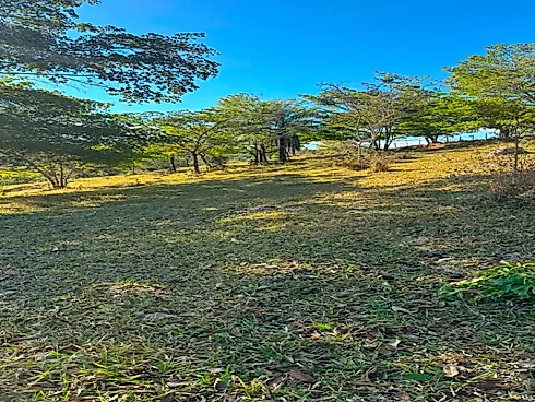 Chácaras de 1.000M² em Esmeraldas-MG (Apenas 15 Min) - Foto 7