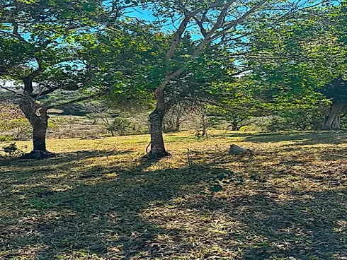 Chácaras de 1.000M² em Esmeraldas-MG (Apenas 15 Min) - Foto 8