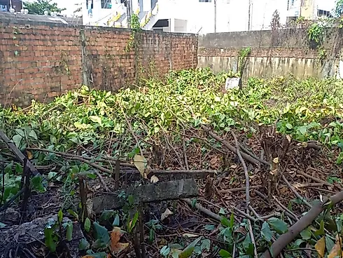 Terreno à Venda – Rua Fernando Guilhon | Belém-PA - Terreno em Cremação, Belém - Foto 2