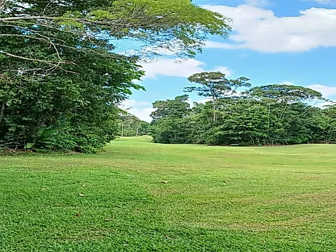 Residencial Miriti Oportunidade Única - Foto 34