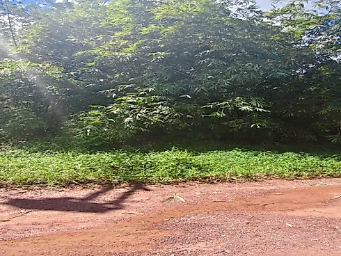 Terreno em Marituba, Ananindeua
