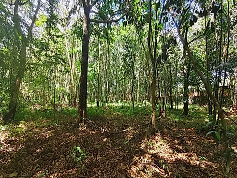 Terreno em Marituba, Ananindeua