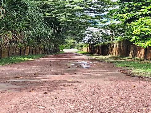 Terreno 2,1 Hectares Marituba - Foto 7