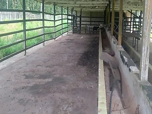 Fazenda Terreno Agrícola Benfica PA Venda 33 Hectares - Foto 13