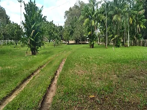 Fazenda Terreno Agrícola Benfica PA Venda 33 Hectares - Foto 2