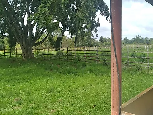 Fazenda Terreno Agrícola Benfica PA Venda 33 Hectares - Foto 15