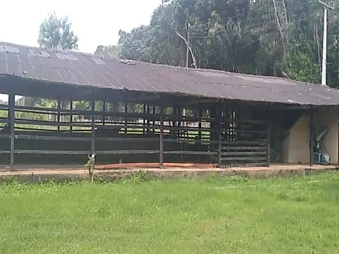 Fazenda Terreno Agrícola Benfica PA Venda 33 Hectares - Foto 17