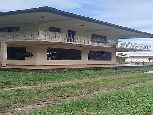 Fazenda Terreno Agrícola Benfica PA Venda 33 Hectares - Foto 5