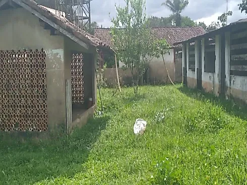 Fazenda Terreno Agrícola Benfica PA Venda 33 Hectares - Foto 18