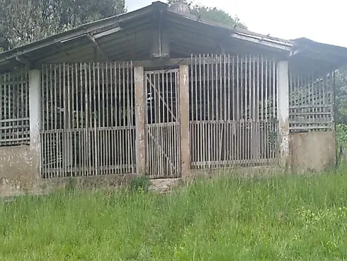 Fazenda Terreno Agrícola Benfica PA Venda 33 Hectares - Foto 14