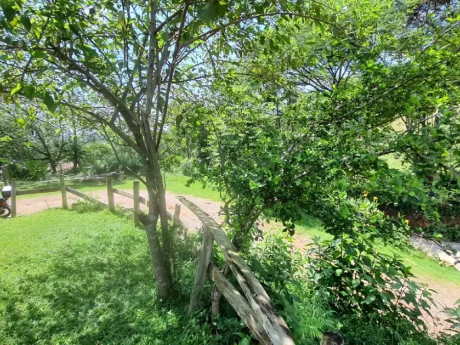 Terreno em São Sebastião, Palhoça. 0 quartos, 0m². Imagem 12 de 25