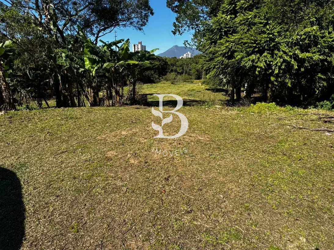 Terreno em Pedra Branca, Palhoça. 0 quartos, 0m². Imagem 3 de 4