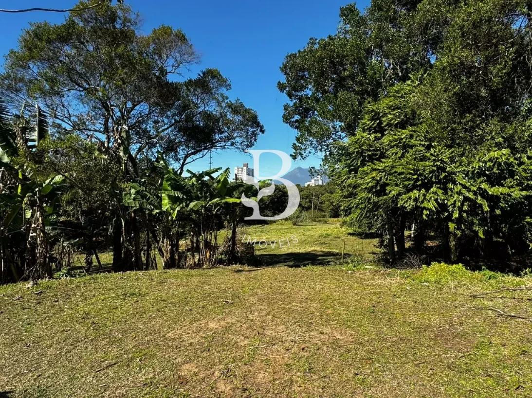 Terreno em Pedra Branca, Palhoça. 0 quartos, 0m². Imagem 2 de 4