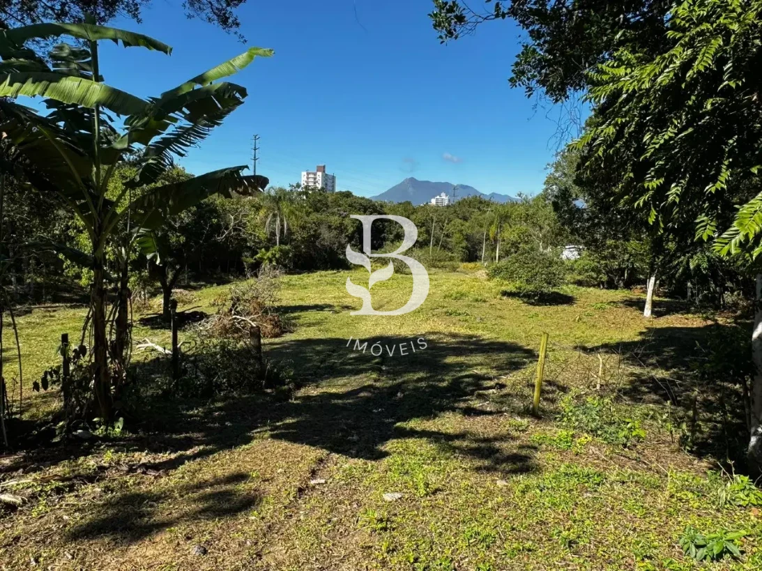 Terreno em Pedra Branca, Palhoça. 0 quartos, 0m². Imagem 4 de 4