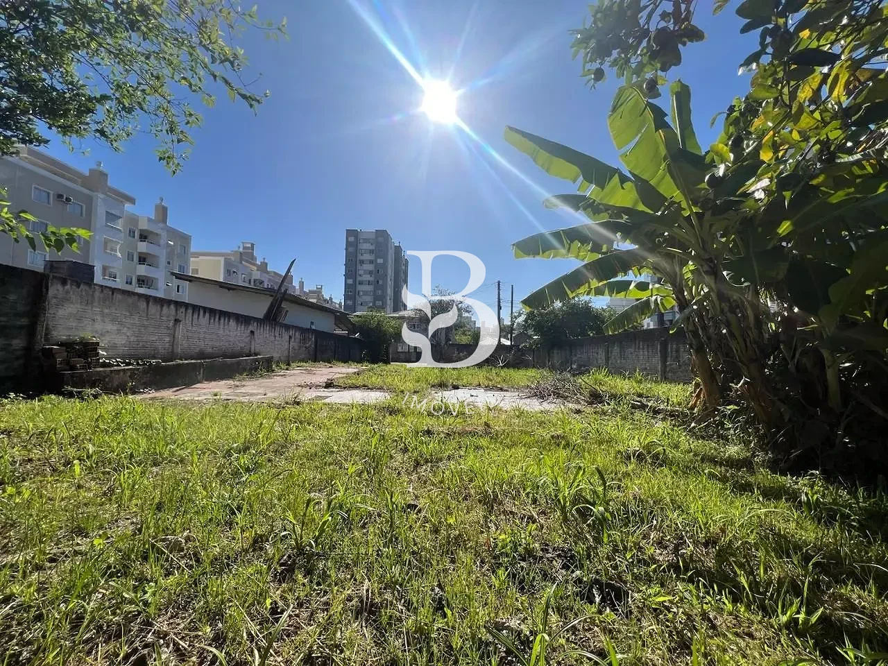 Terreno em Passa Vinte, Palhoça. 0 quartos, 0m². Imagem 7 de 11