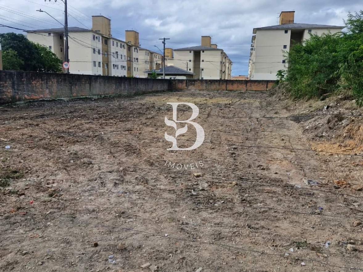 Terreno em Pachecos, Palhoça. 0 quartos, 0m². Imagem 7 de 17