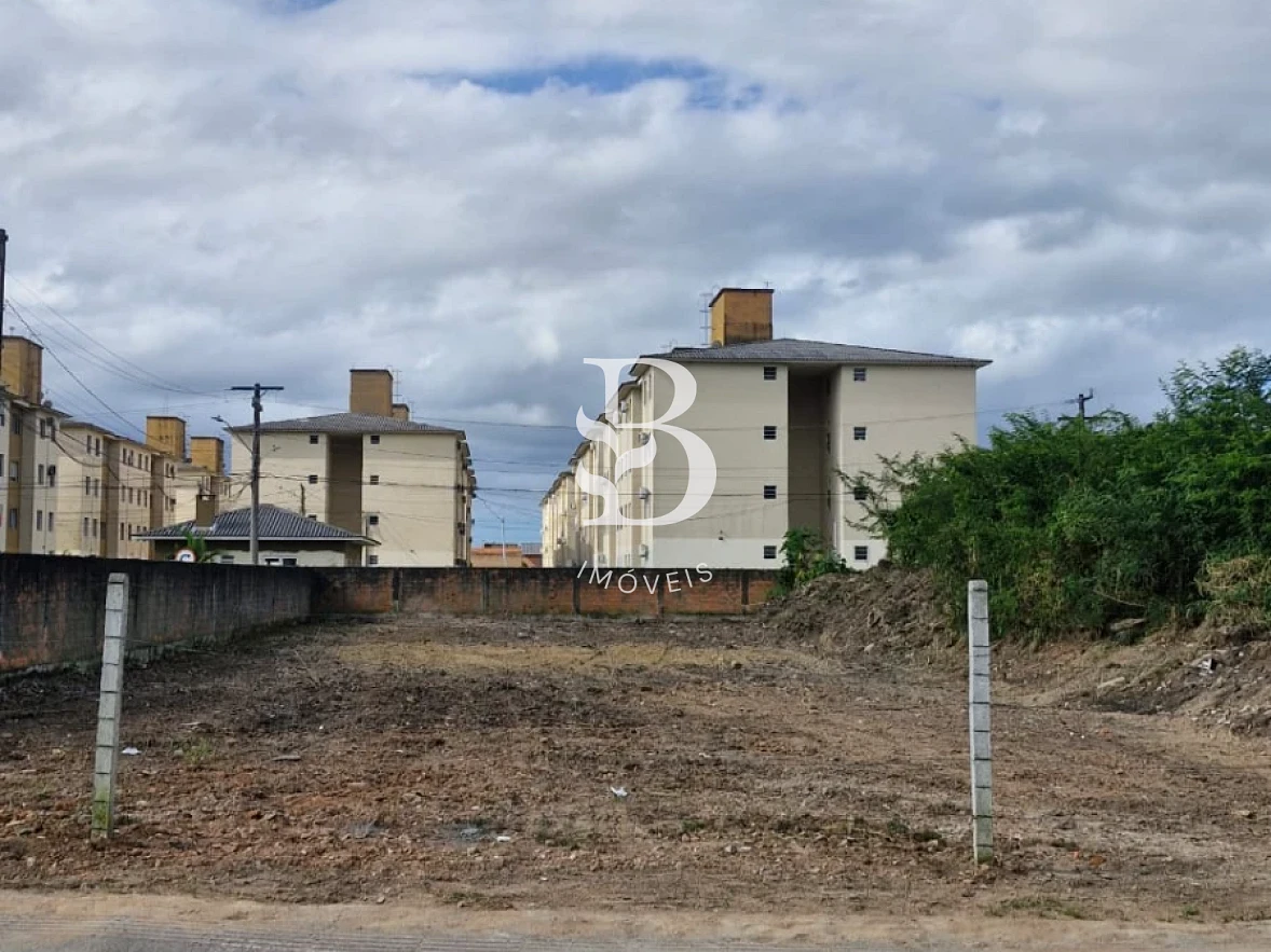 Terreno em Pachecos, Palhoça. 0 quartos, 0m². Imagem 8 de 17