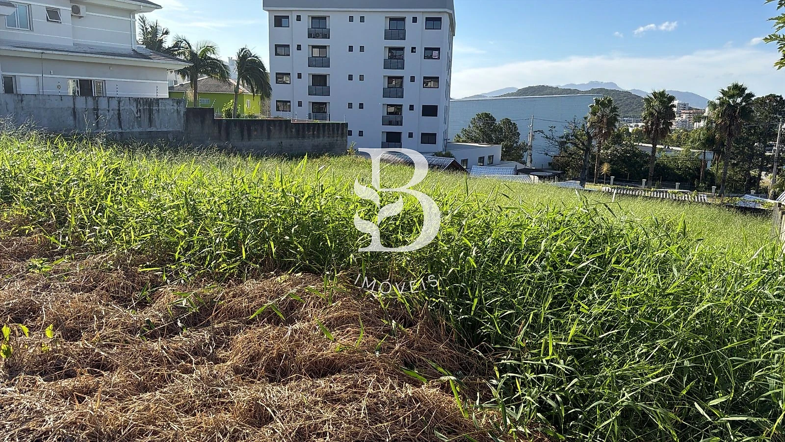 Terreno em Pedra Branca, Palhoça. 0 quartos, 0m². Imagem 10 de 10