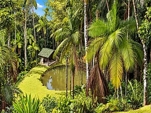 Sítio 30m² com Aceita Pet - São Sebastião - Foto 65