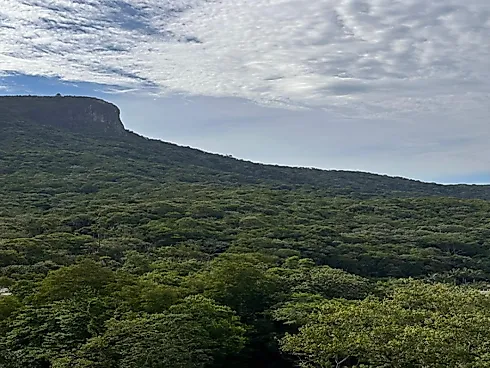 Apartamento em Pedra Branca, Palhoça