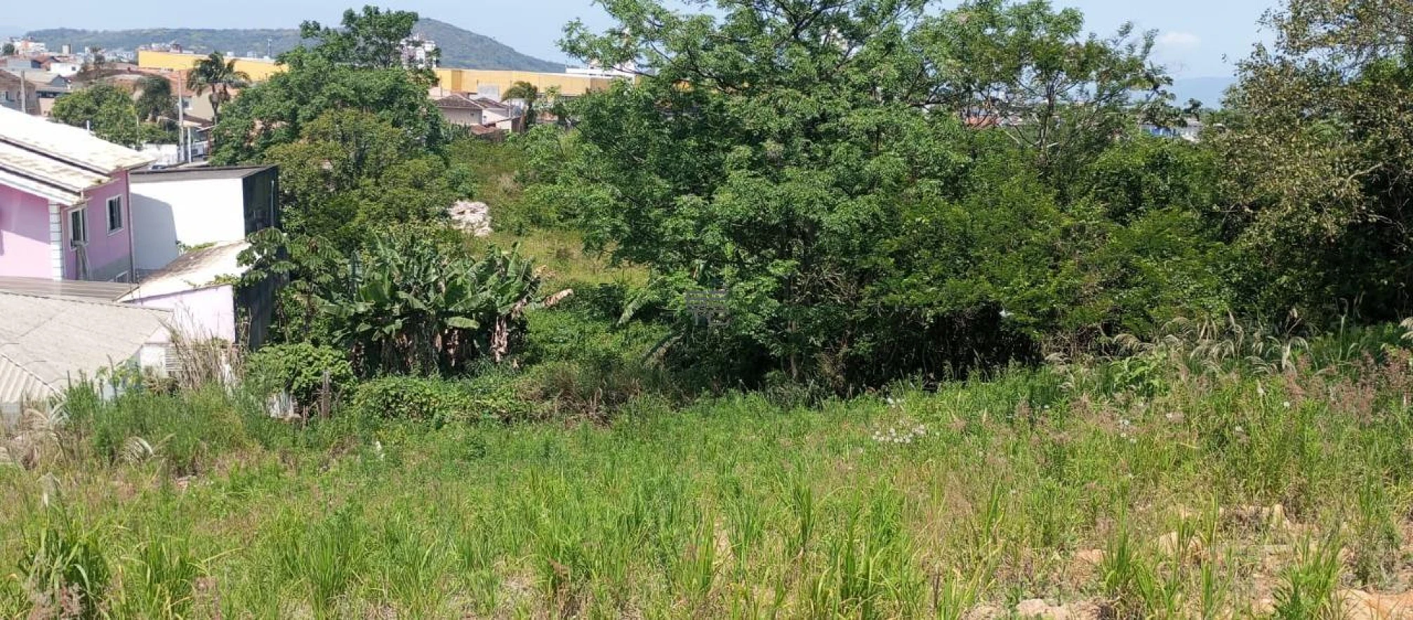 Terreno em Passa Vinte, Palhoça