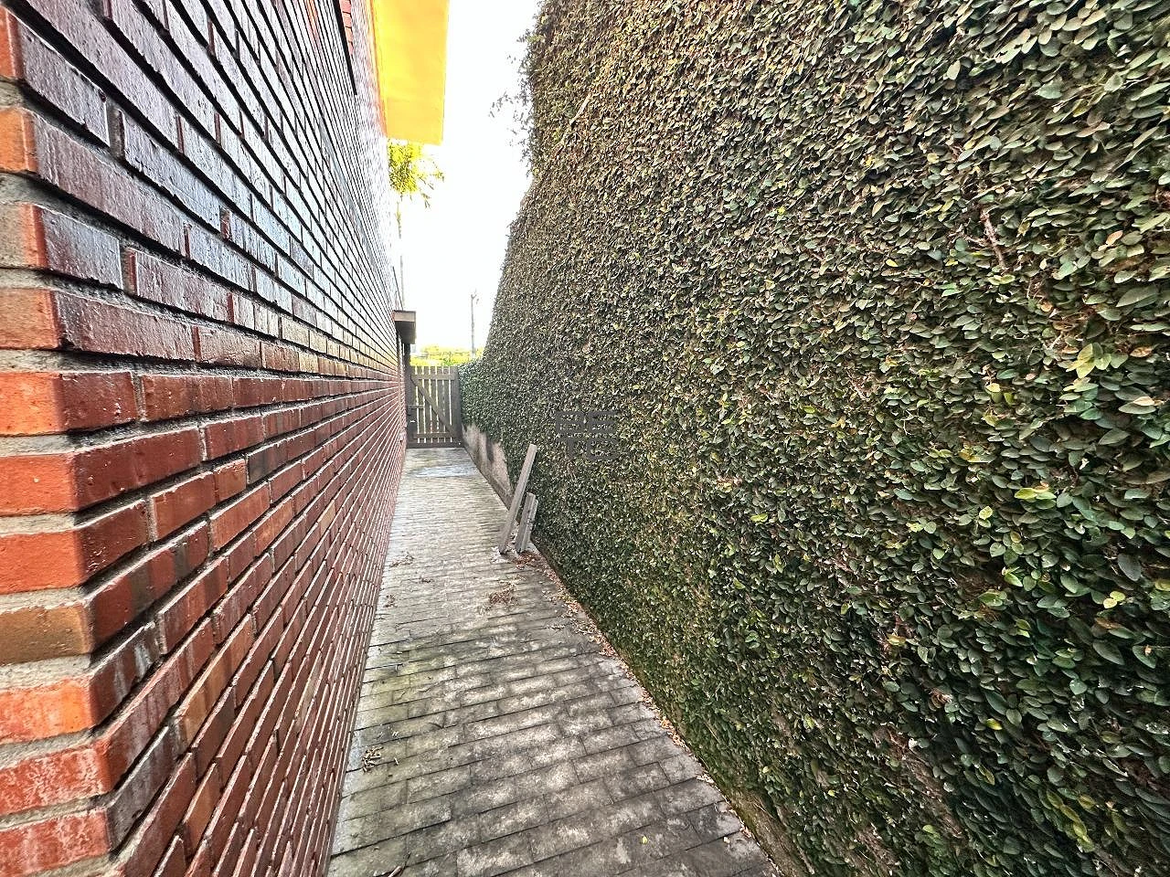 Casa 3 Quartos com 1 Suíte - Pedra Branca - Foto 15