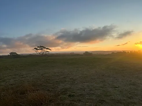 Excelente Sítio em Rancho Queimado - Sítio, Rancho Queimado - Foto 3