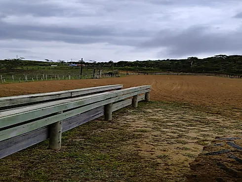 Excelente Sítio em Rancho Queimado - Sítio, Rancho Queimado - Foto 5