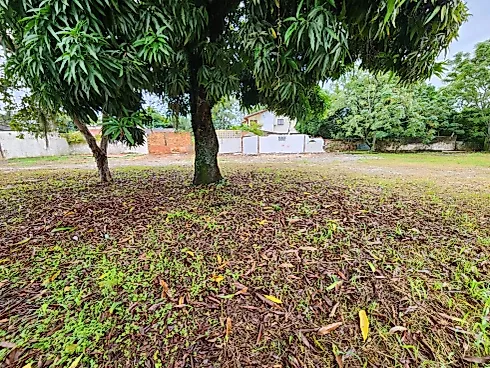 Terreno Multifamiliar no Centro de Palhoça - Foto 17