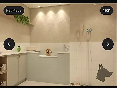 Apartamento  Amplo com 3 Suítes e Lavabo na Pedra Branca! - Foto 8