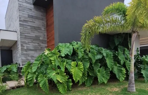 Casa em Jardim Santa Gertrudes, Marília