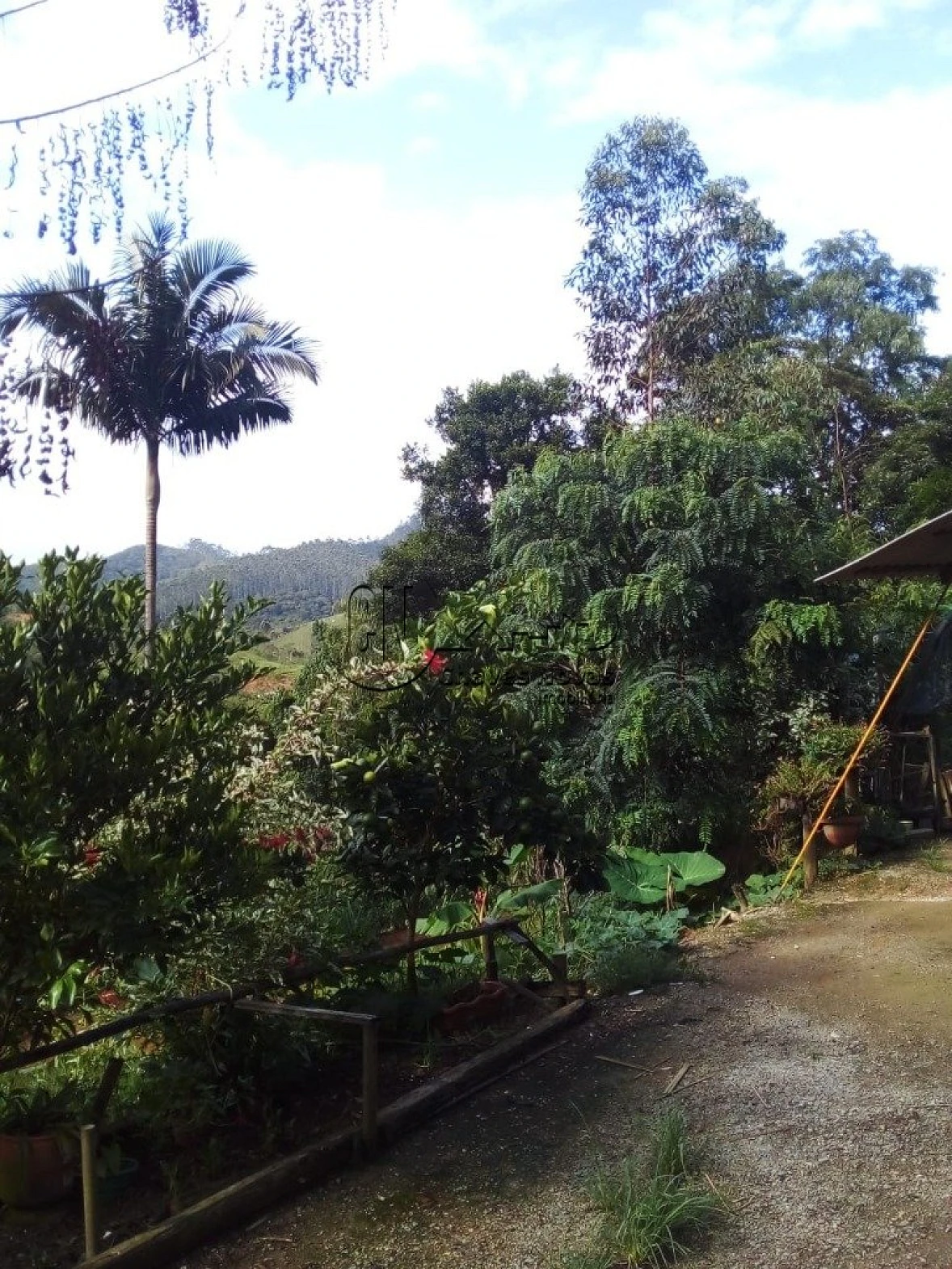 Sítio a Venda  com 20 Hectares em Biguaçu