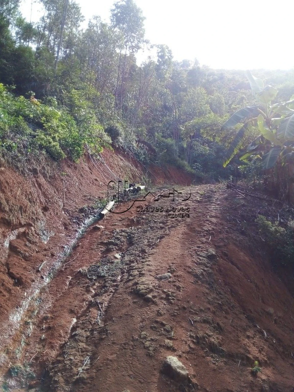 Sitio em Saudades, Biguaçu
