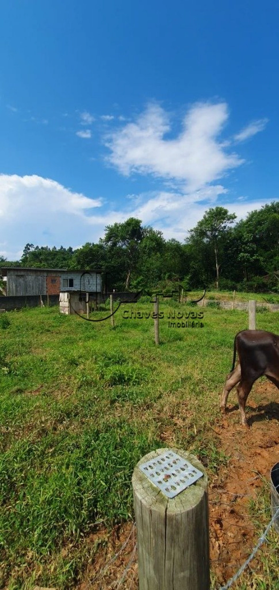 Terreno em Guarda do Cubatão, Palhoça
