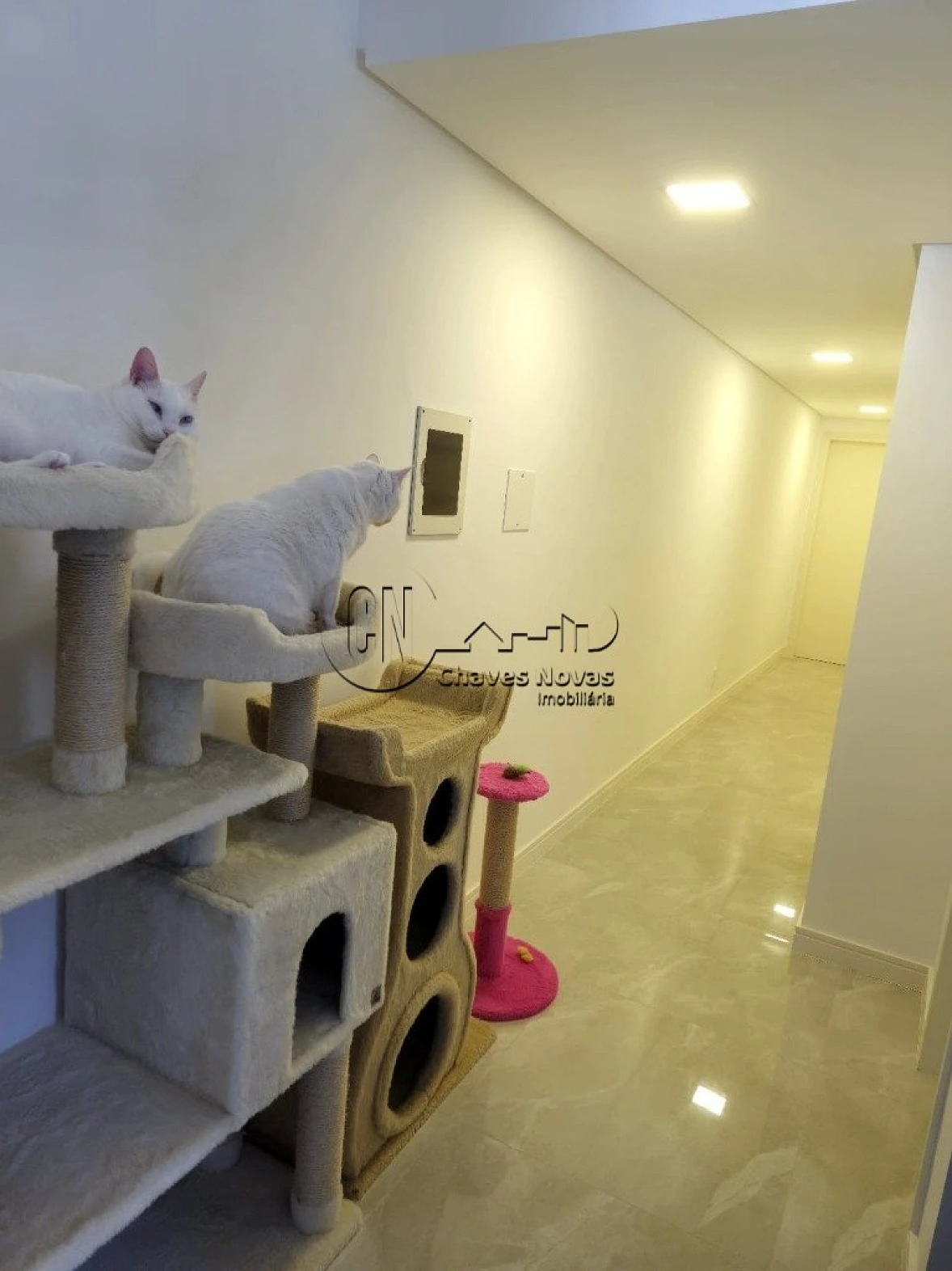 Apartamento em Praia de Fora, Palhoça