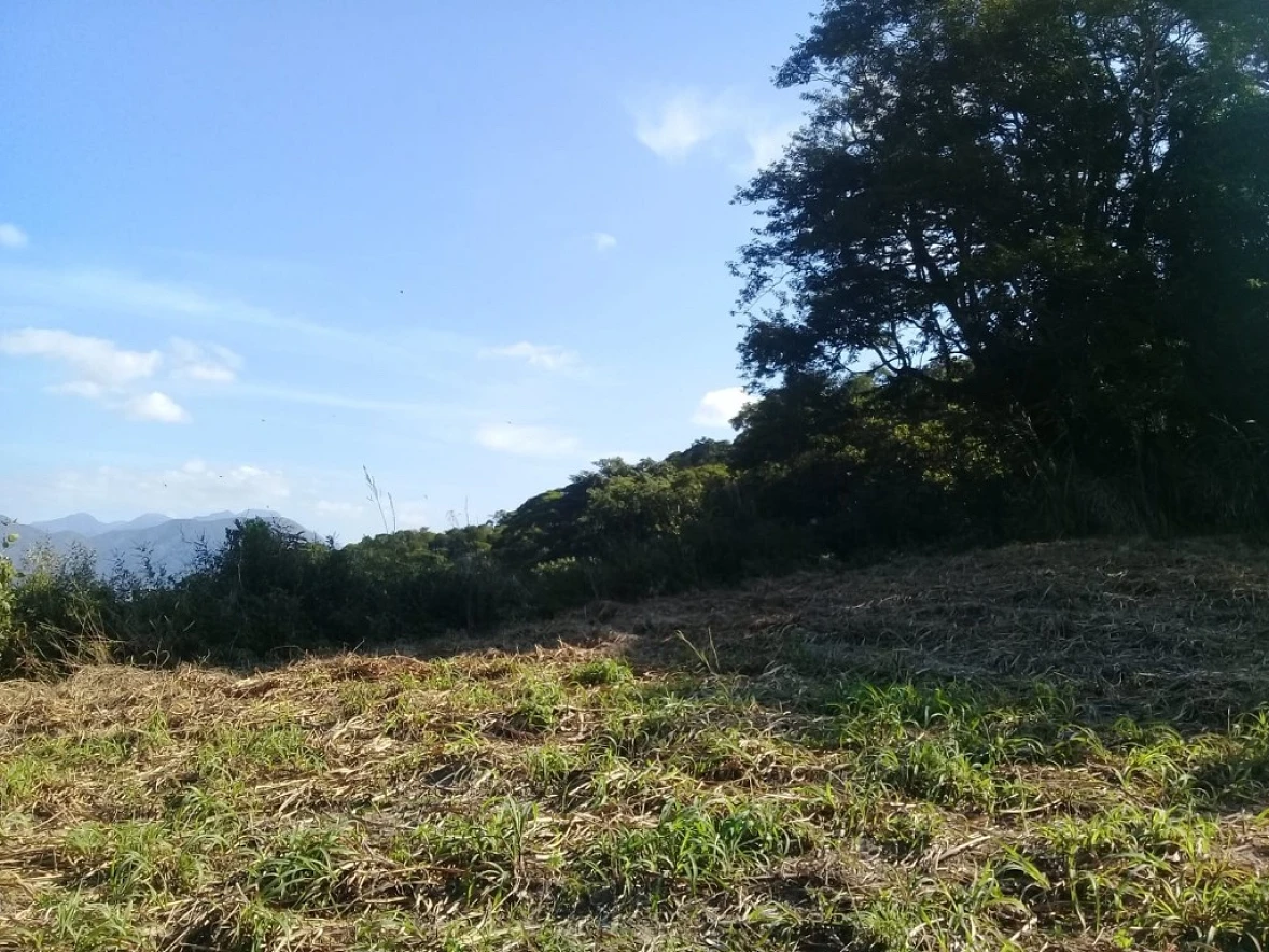 Terreno em Alto Aririú, Palhoça