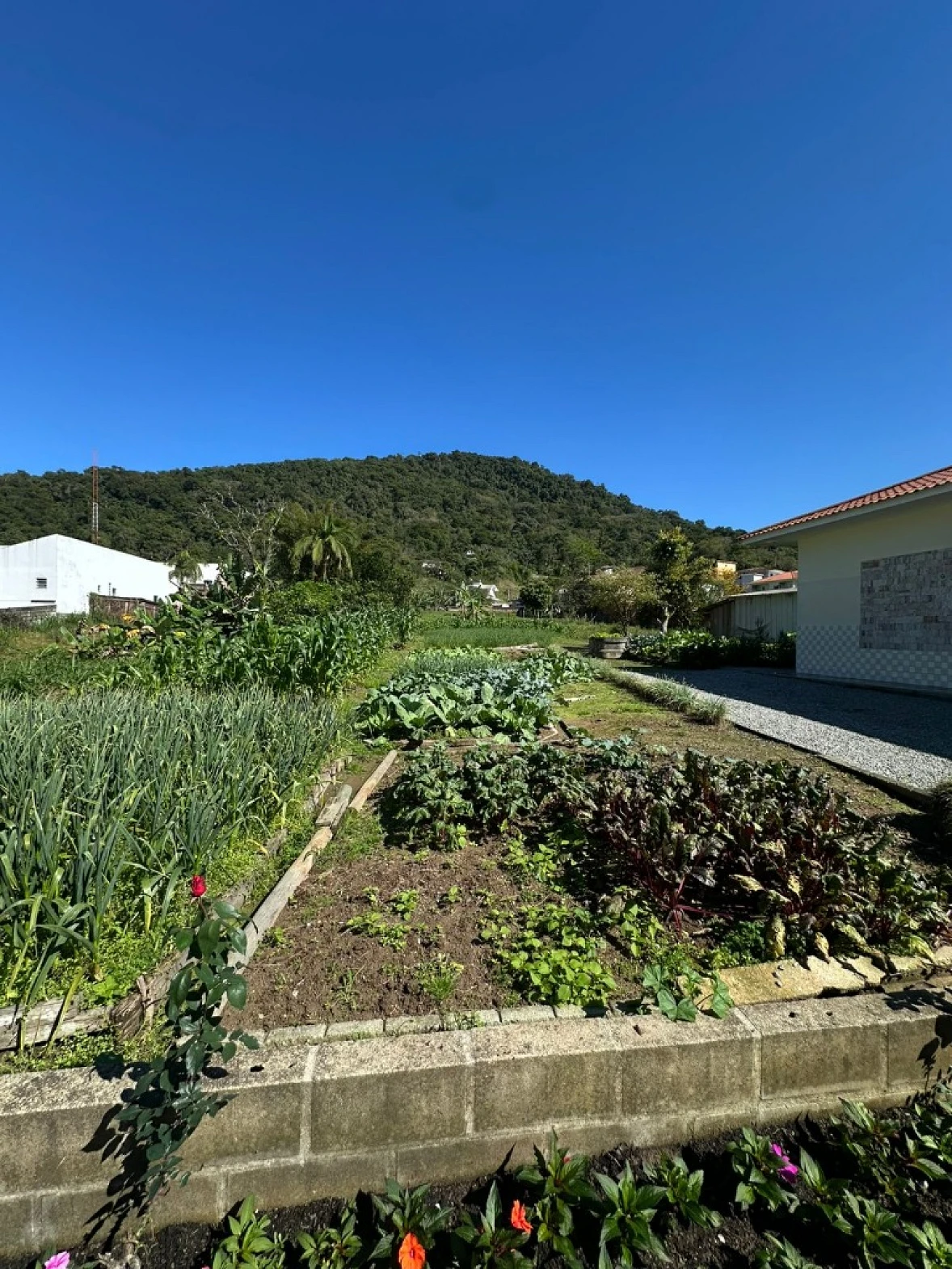 Terreno em Alto Aririú, Palhoça