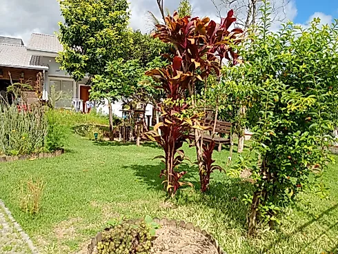Casa 2 Quartos com 2 Suítes e 133m² - Terreno Amplo. - Foto 6