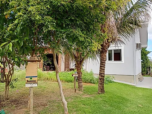 Casa em São Francisco de Assis, Santo Amaro da Imperatriz