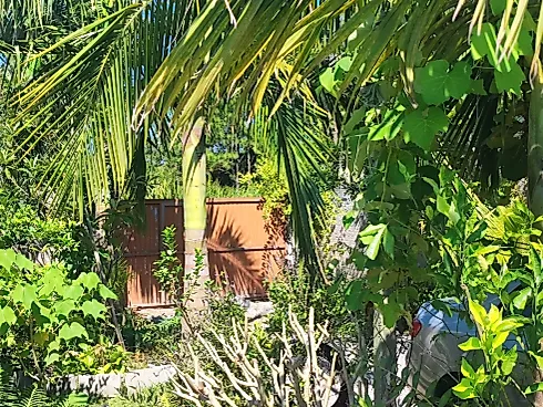 Casa 4 Quartos com 1 Suíte - Passagem do Maciambu - Foto 18
