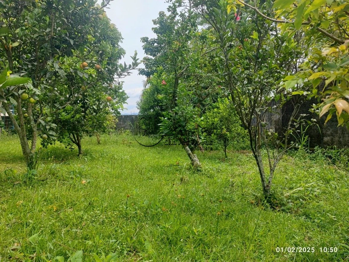 Casa a Venda com 03 Quartos no Bairro Bela Vista em Palhoça - Foto 37