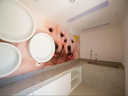 Apartamento Condomínio Cidade Viva - Bairro Jardim - Foto 29