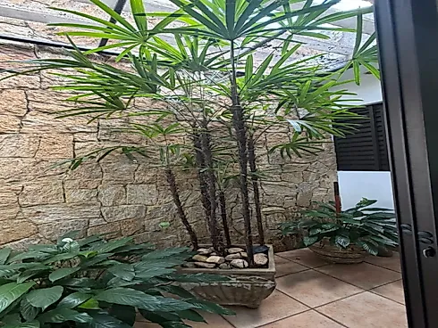 Casa Térrea à Venda em Santo André – 3 Dormitórios, 4 Vagas - Foto 16