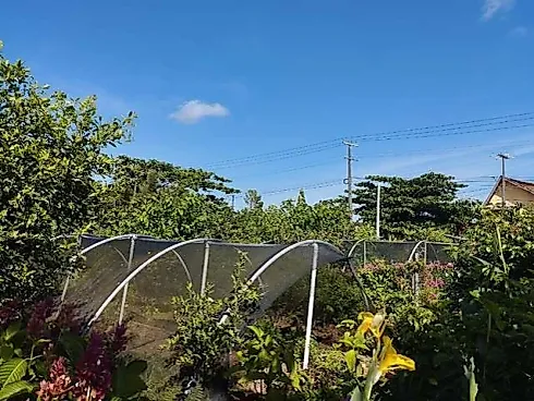 Terreno 379m² Próximo a Praia - Nereidas - Terreno em Nereidas, Guaratuba - Foto 5