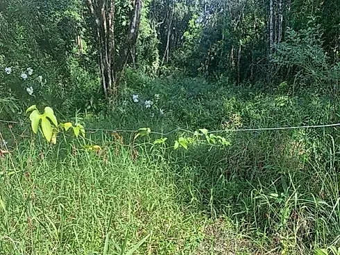 Terreno a Venda no Nereidas- Oportunidade - Terreno em Nereidas, Guaratuba - Foto 4