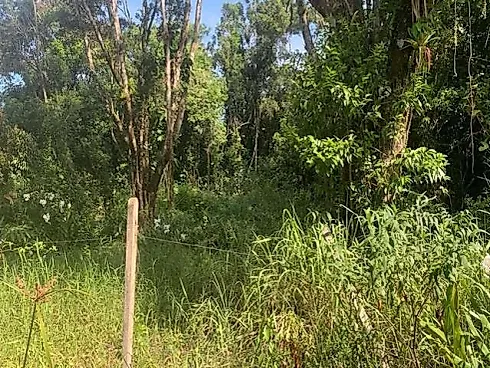 Terreno a Venda no Nereidas- Oportunidade - Terreno em Nereidas, Guaratuba - Foto 5