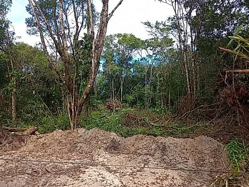 Nereidas, Guaratuba