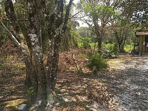 Terreno  360m² -  Balneário Nereidas - Terreno em Nereidas, Guaratuba - Foto 4