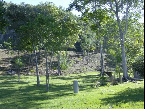 Terreno em Ponta de Baixo, São José