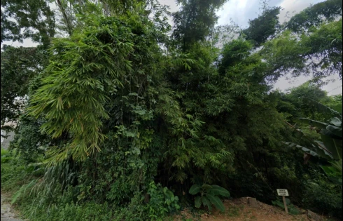 Terreno em Carvoeira, Florianópolis